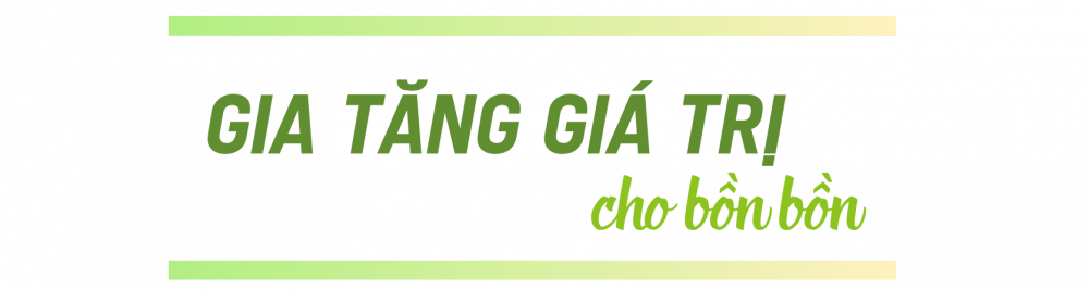 gia tăng giá trị