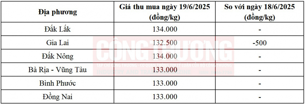giá tiêu hôm nay
