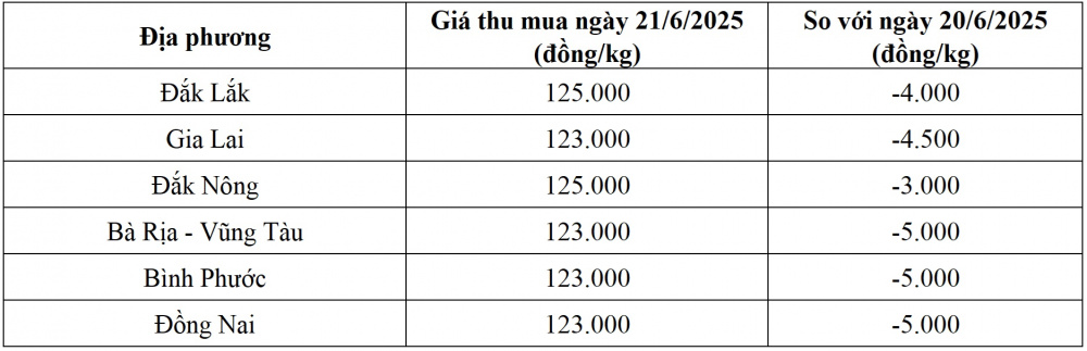 giá tiêu hôm nay