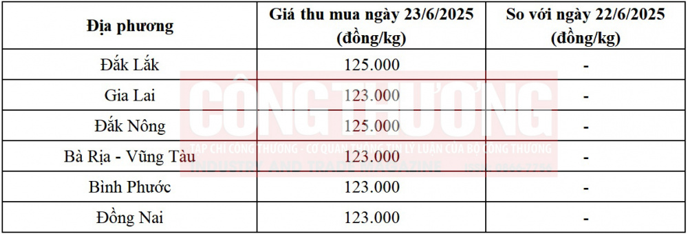 giá tiêu hôm nay