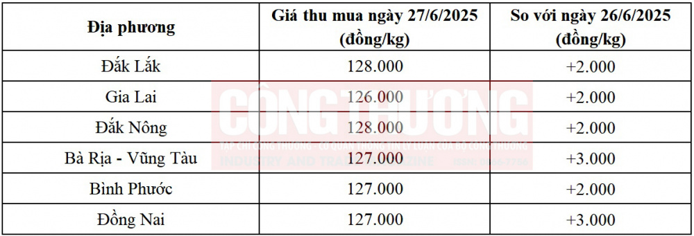 giá tiêu hôm nay