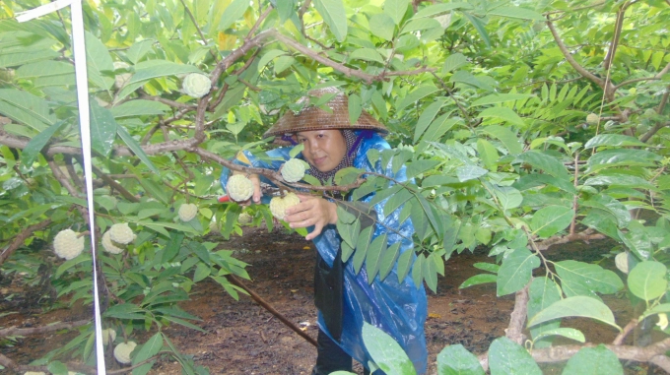 Võ Nhai