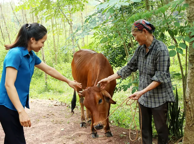 Lạng Giang