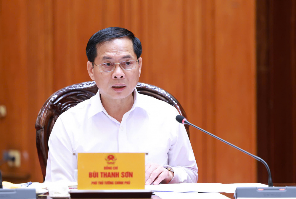 Phó Thủ tướng Bùi Thanh Sơn phát biểu tại cuộc họp - Ảnh: VGP