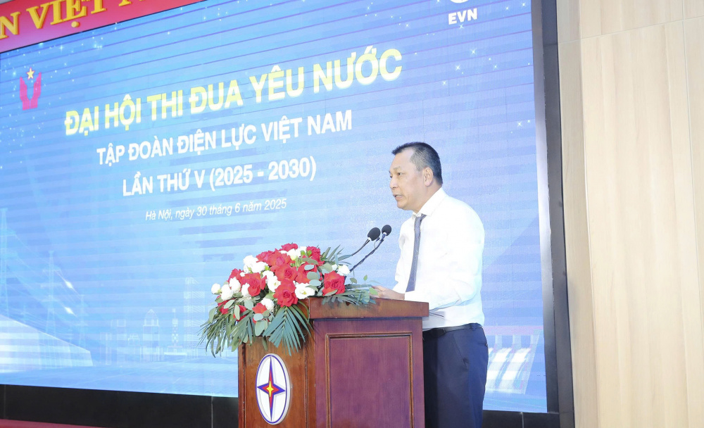 Tập đoàn Điện lực Việt Nam