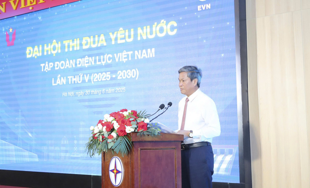 Tập đoàn Điện lực Việt Nam