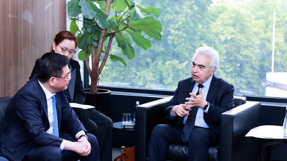Giám đốc IAE Fatih Birol khẳng định sẵn sàng đồng hành và hỗ trợ Việt Nam trong quá trình phát triển các ngành năng lượng mới