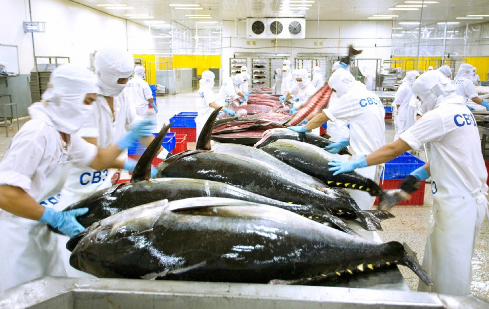 Nhiều tiềm năng Cwin Đăng Ký + 1888k cá ngừ Việt Nam sang các thị trường Halal