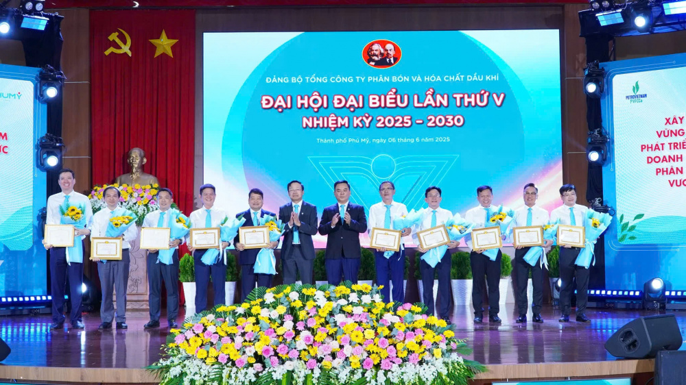 PVFCCo-Phú Mỹ 