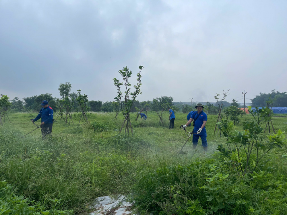 Tuổi trẻ Supe Lâm Thao 