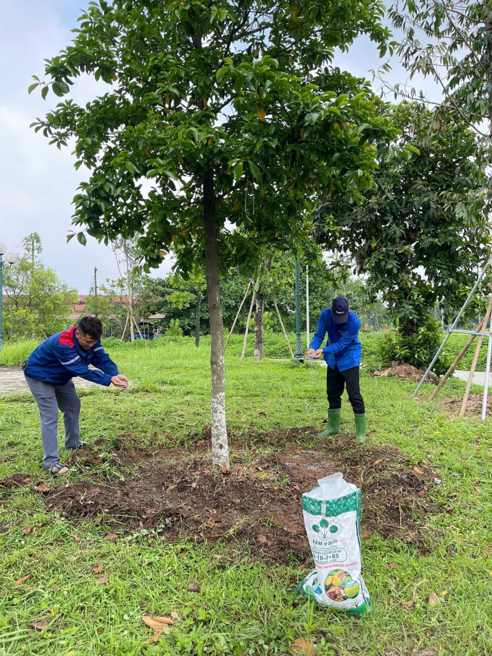 Tuổi trẻ Supe Lâm Thao