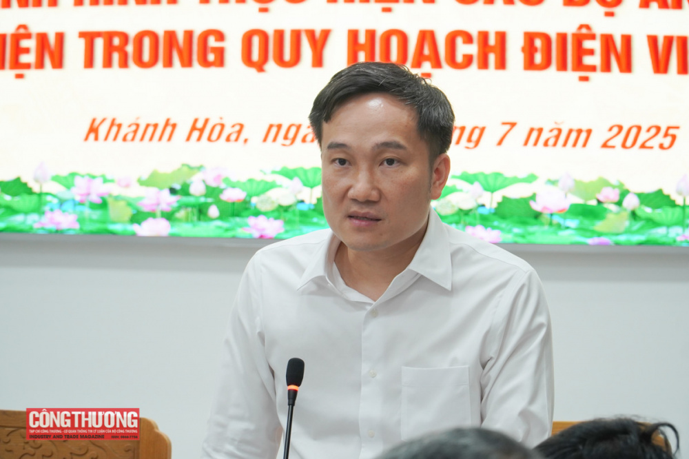 Ông Nguyễn Tuấn Anh, Phó Chủ tịch UBND tỉnh Gia Lai, phát biểu tại buổi làm việc