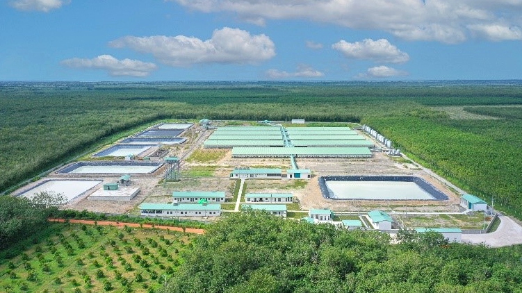 BaF Việt Nam