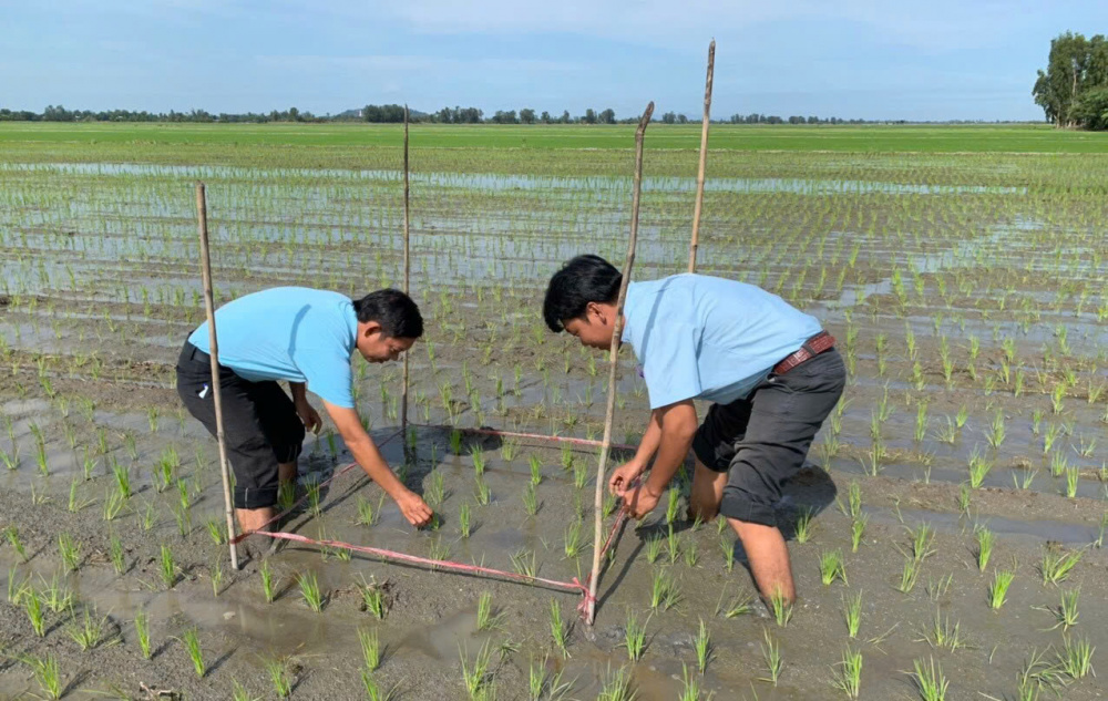 Phân bón Đầu Trâu Bio-Canxi