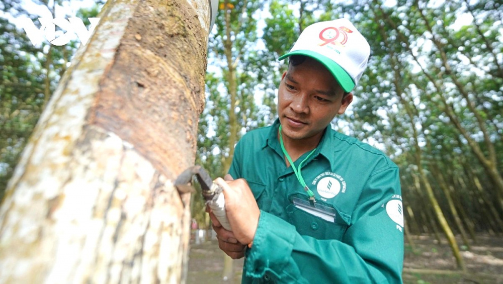 Cao su Việt Nam