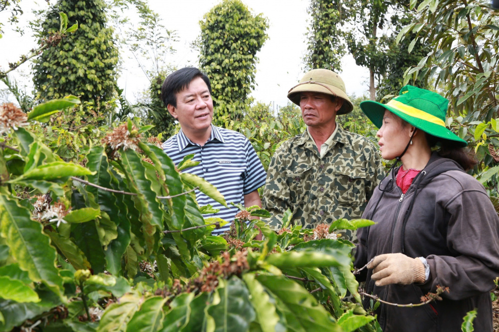 Phân bón Bình Điền