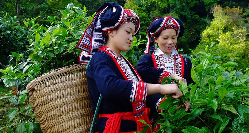 dân tộc thiểu số