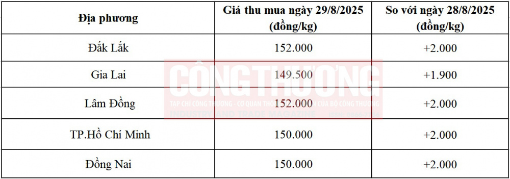 giá tiêu hôm nay