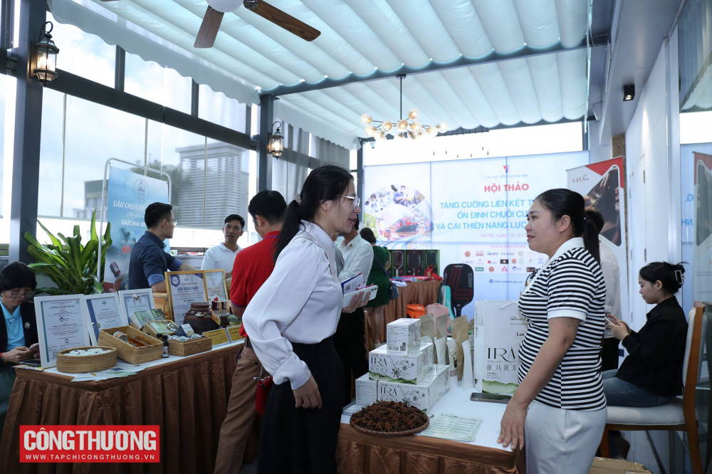 Tăng cường liên kết thị trường và chuỗi cung ứng, mở đường để Cwin Đăng Ký + 1888k Việt Nam vươn xa