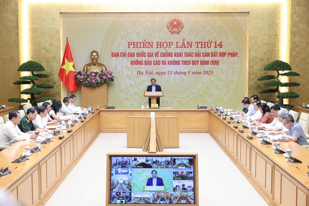 ban chỉ đạo IUU