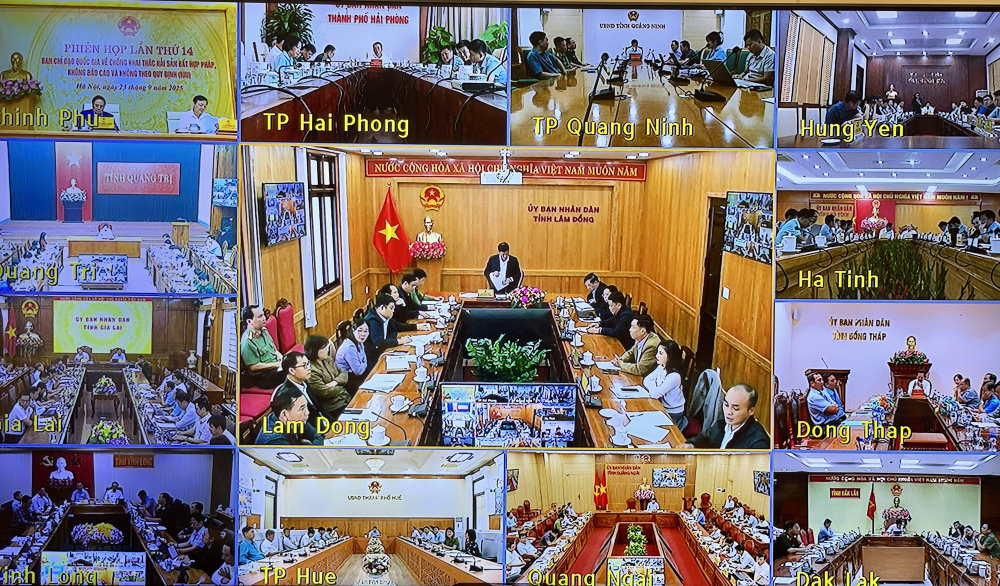 thẻ vàng IUU