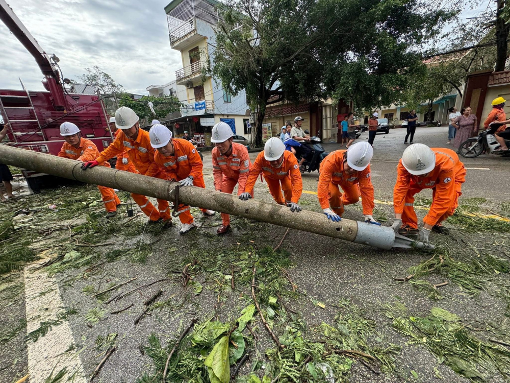 Điện lực miền Bắc
