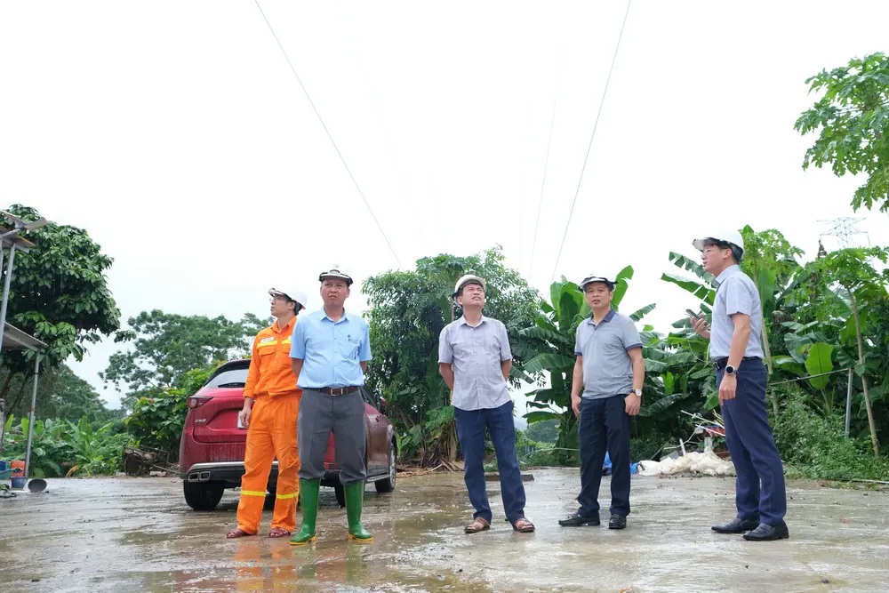 Công ty Truyền tải điện 1
