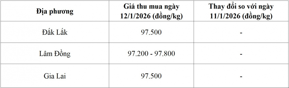 giá cà phê hôm nay