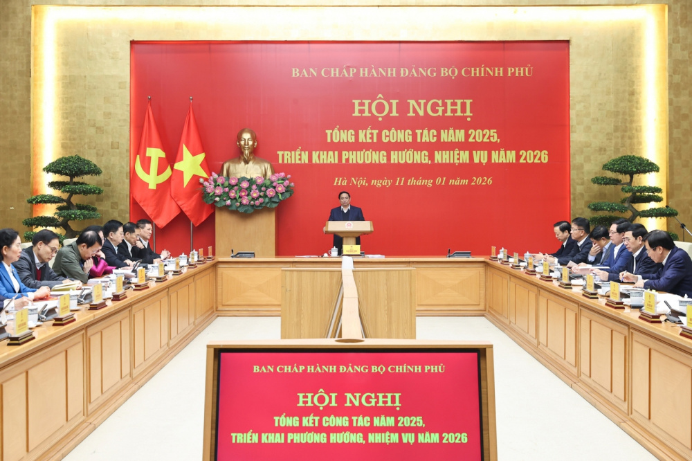 đảng ủy chính phủ