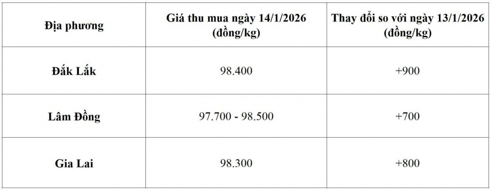 giá cà phê hôm nay