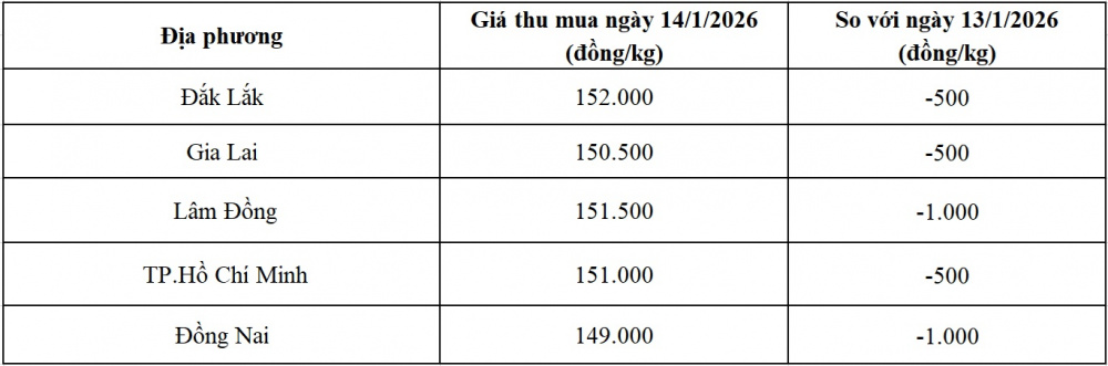 giá tiêu hôm nay