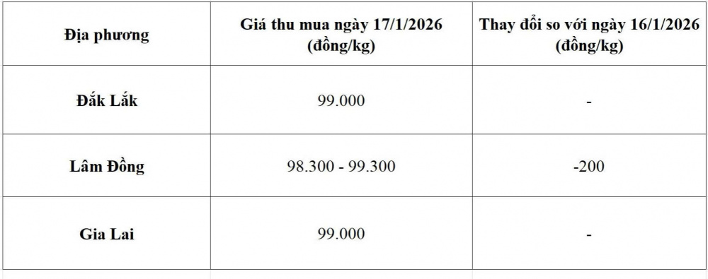 giá cà phê hôm nay
