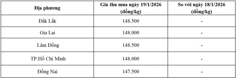 giá tiêu hôm nay