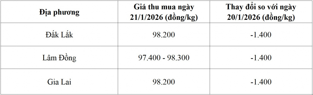 giá cà phê hôm nay