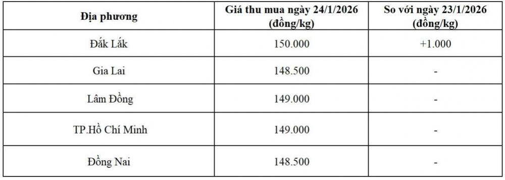 giá tiêu hôm nay
