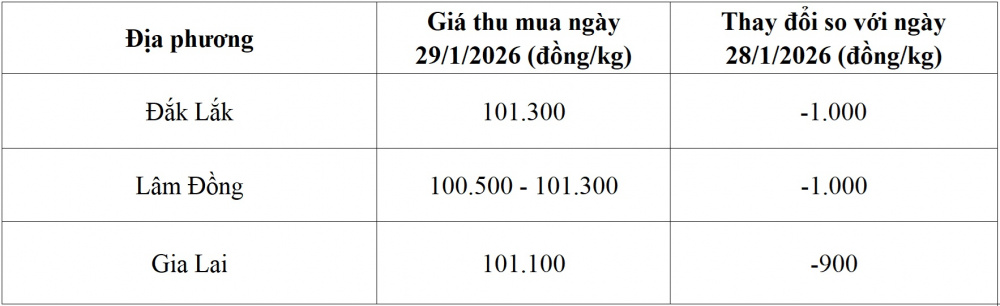 giá cà phê hôm nay