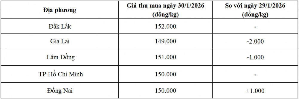 giá tiêu hôm nay