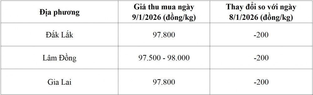 giá cà phê hôm nay