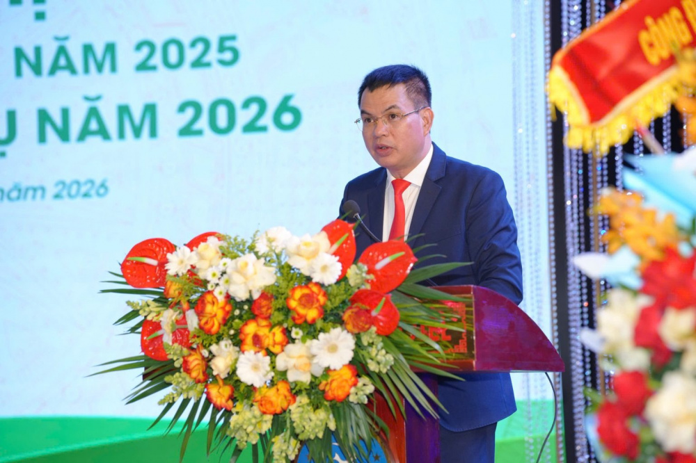 Đạm ninh bình 2