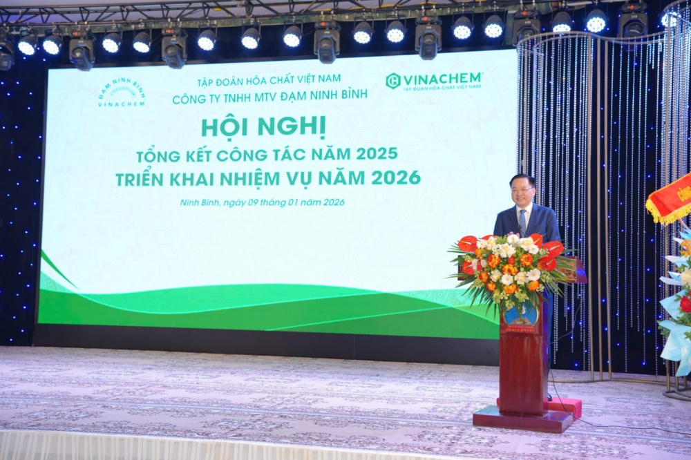 Đạm Ninh Bình