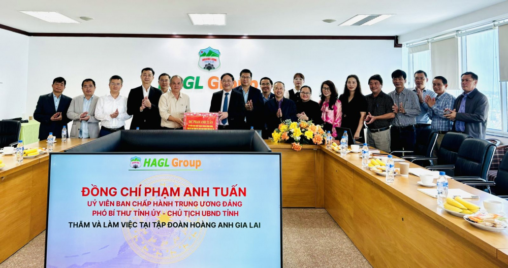 Tặng quà, chúc Tết tập thể lãnh đạo, nhân viên Công ty Cổ phần Tập đoàn Hoàng Anh Gia Lai