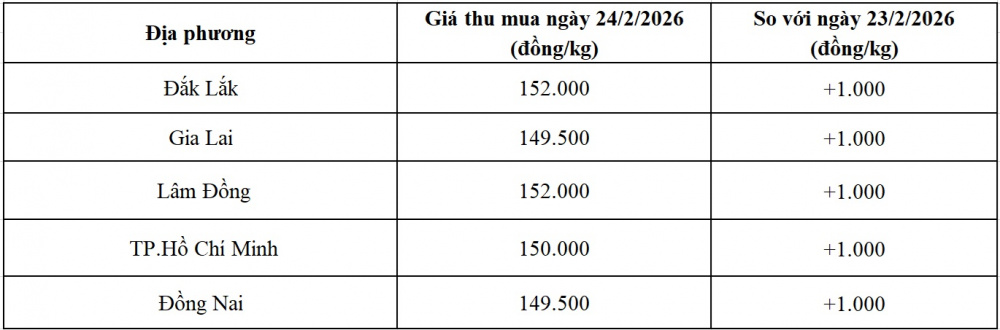 giá tiêu hôm nay