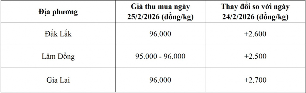 giá cà phê hôm nay