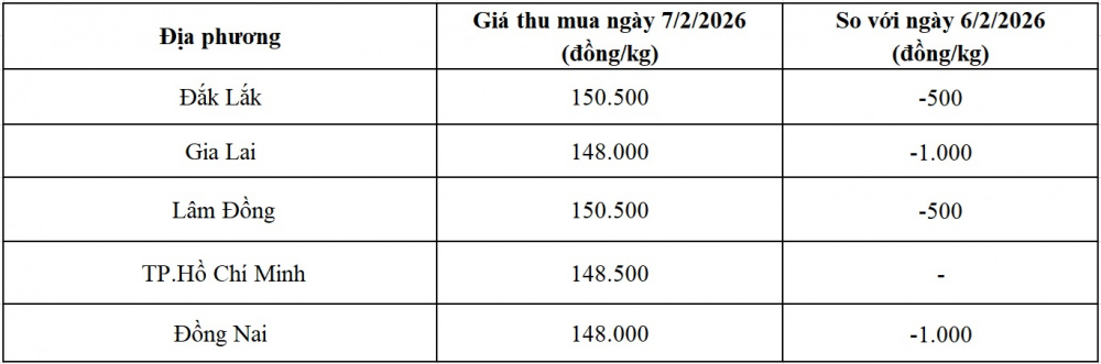 giá tiêu hôm nay