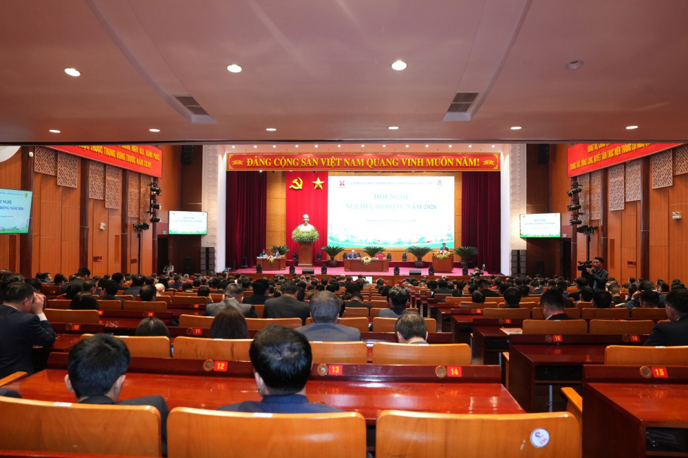 thu nhập người Nền tảng hàng đầu cung cấp Cwin com tkv