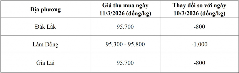 giá cà phê hôm nay