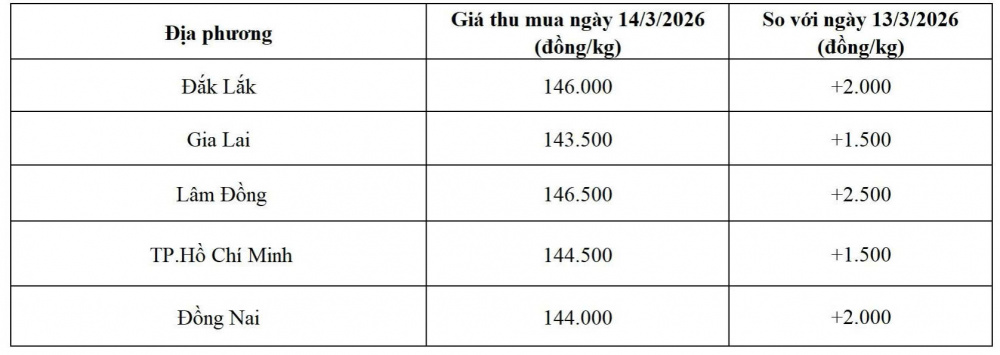 giá tiêu hôm nay