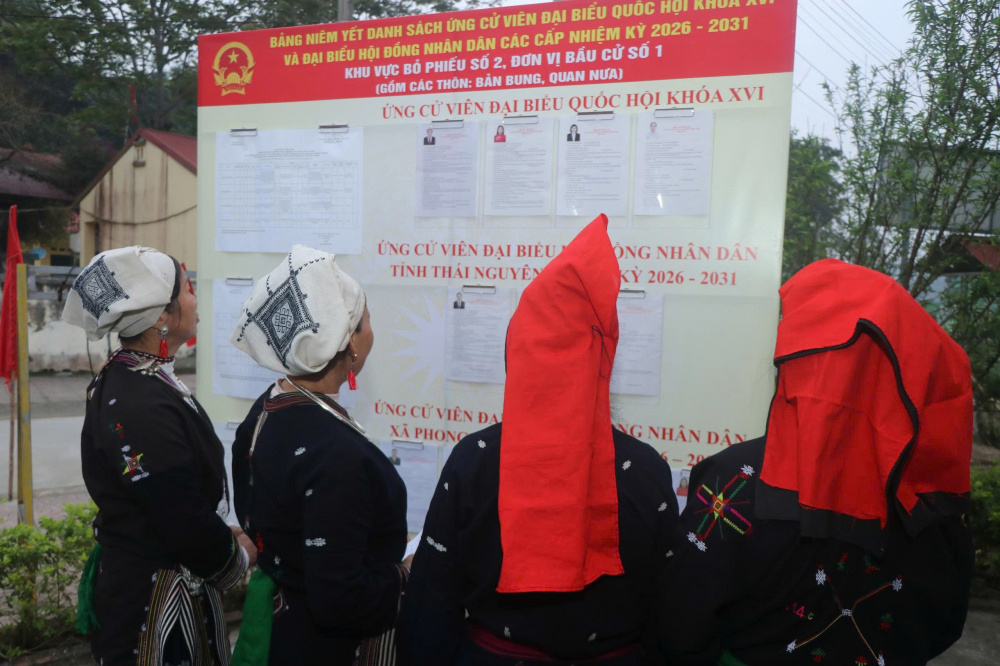 cử tri dân tộc