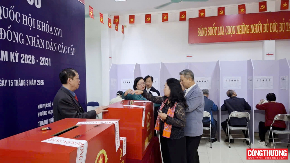 cử tri bầu cử
