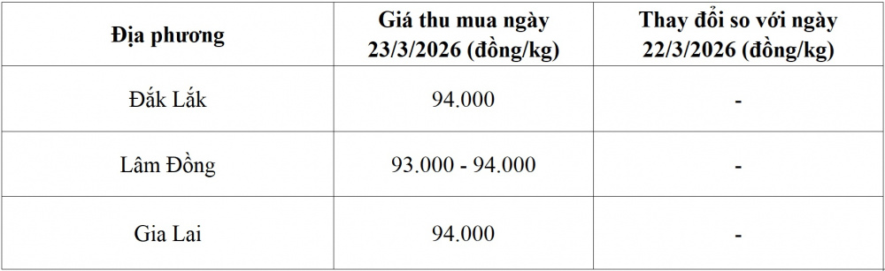 giá cà phê hôm nay